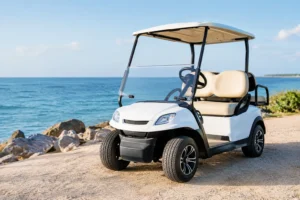 2 Seat Electric Golf Cart Cabo Rental Guide